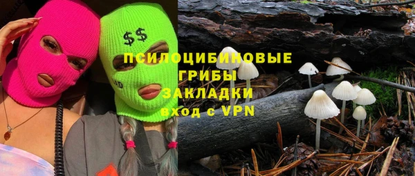 Альфа ПВП Беломорск