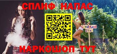 индика Ярославль