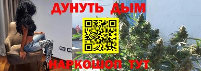 индика Ярославль