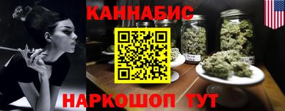 индика Ярославль
