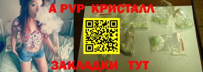 индика Ярославль