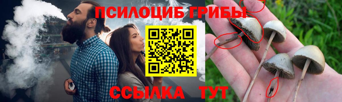 Кузнецк  Галлюциногенные грибы Psilocybine cubensis  хочу наркоту  Вход с VPN 